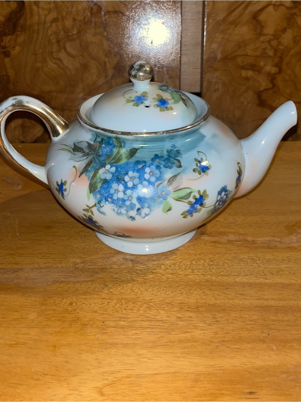 Vintage Nippon Hand Painted Floral Teapot Japan